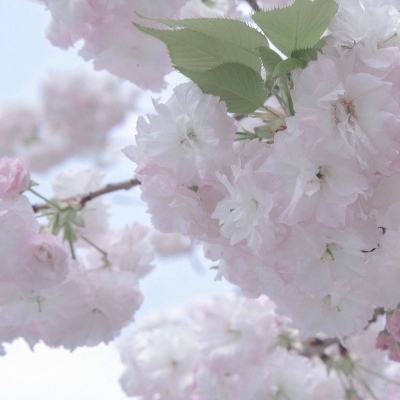 红岗FurryQQ群介绍
